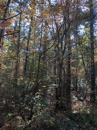0  Lot 17B Wolf Island Rd, Mattapoisett, MA 02739 - photo 3