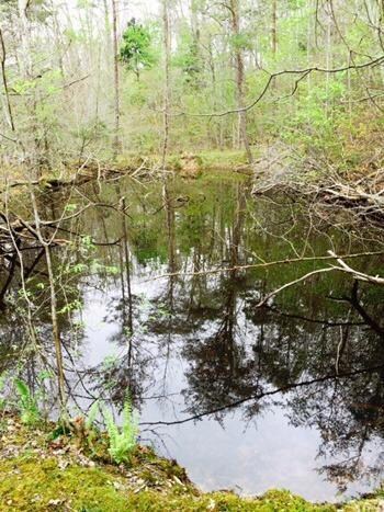 1580 Long Hollow Rd, Somerset, KY 42501 - photo 6