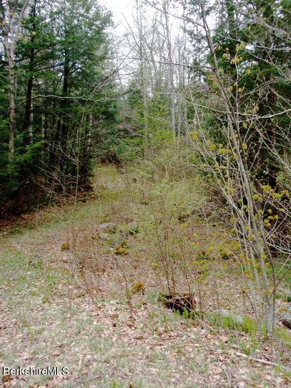Old Logging Rd