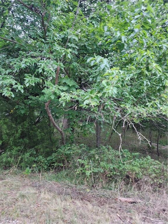 2 & 6 Shady Ln, Linn Valley, KS 66040 - photo 4