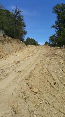 20150807165011817931000000-t