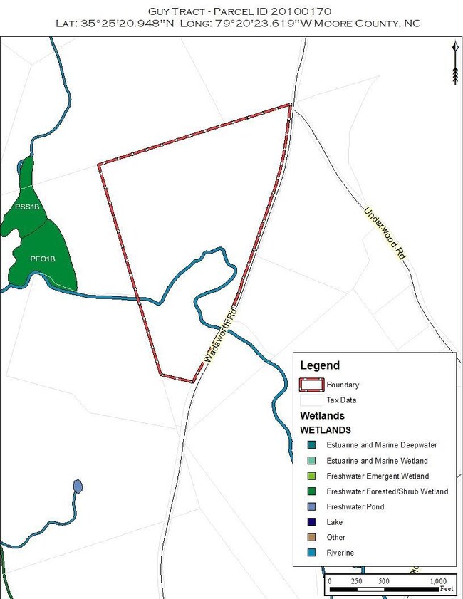 Wetland Map