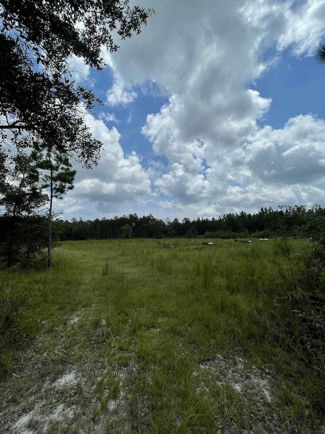 xx Otter Creek Rd, Sopchoppy, FL 32358 - photo 3