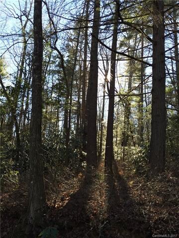 Hardwoods and Rhododendron