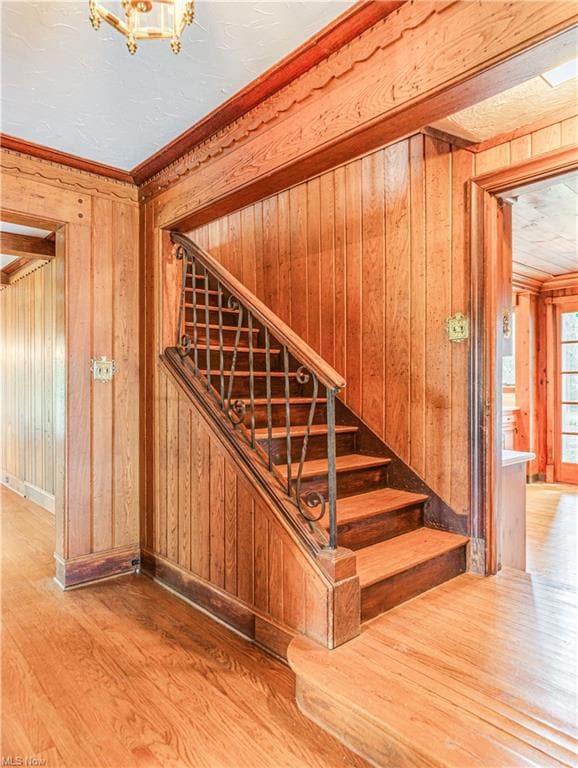 156 Shawnee Trail, Aurora, OH 44202 - photo 4