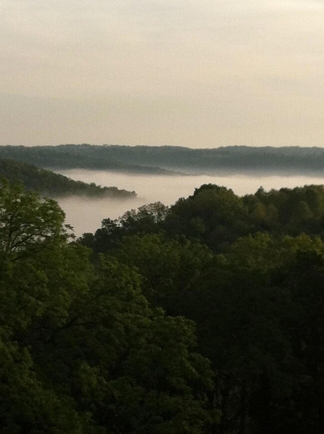 Fog in the Valley
