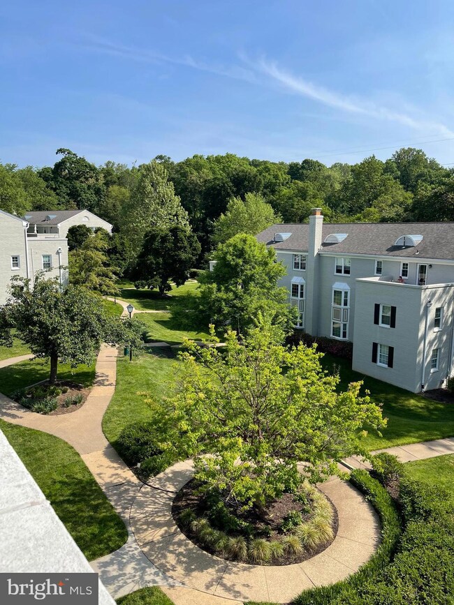 818 S Arlington Mill Dr unit 4301, Arlington, VA 22204 - photo 2