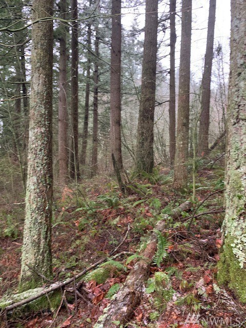 0 Reese Hill Rd unit 1395691, Sumas, WA 98295 - photo 3