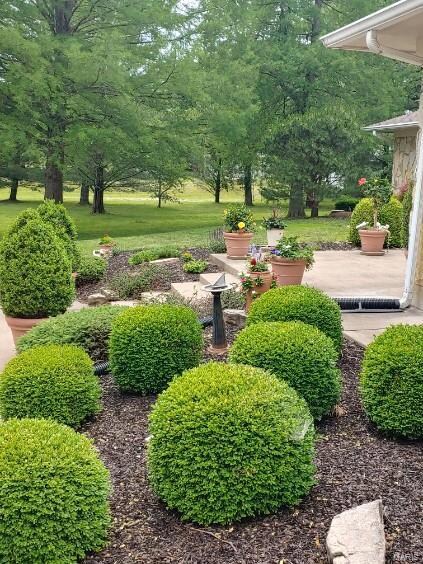 4435 Hildebrecht Rd, Farmington, MO 63640 - photo 6