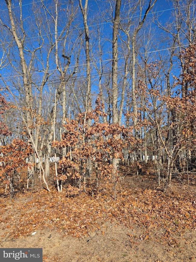 0 Thompson Ave, Chesilhurst, NJ 08089 - photo 3