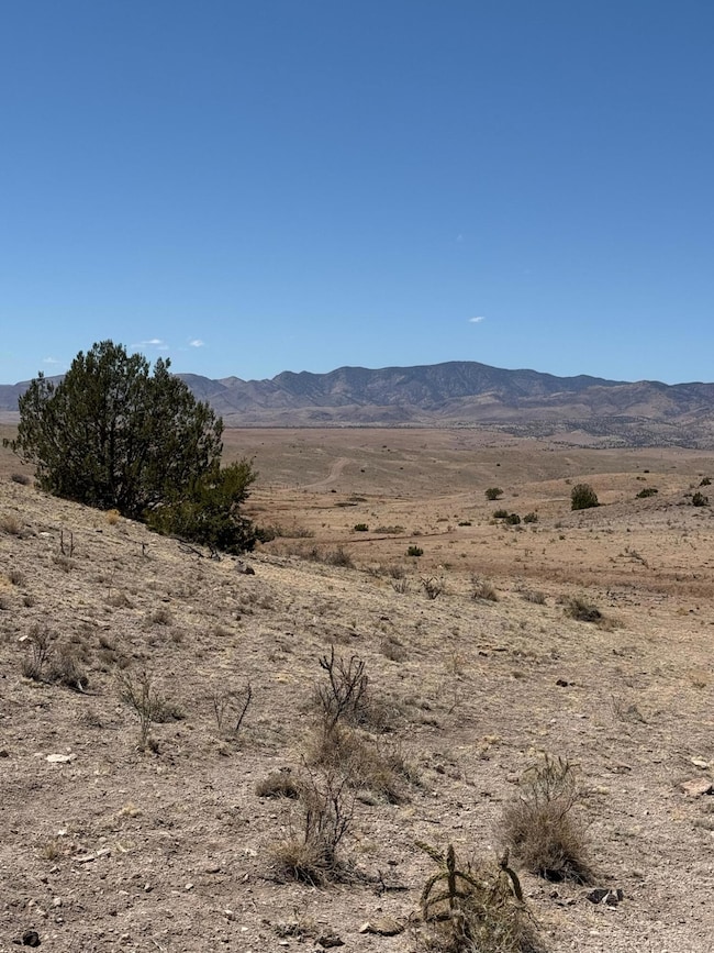 Lot 18 Willow Springs Ranch, San Antonio, NM 87832 - photo 6