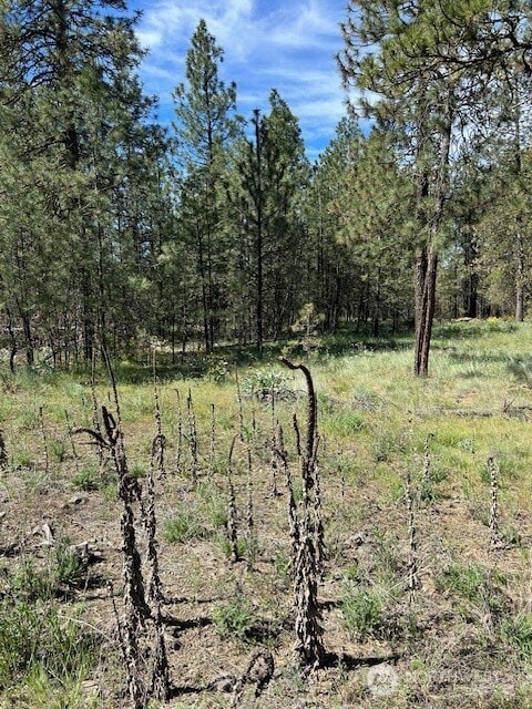 0 Rocky Ridge Rd unit NWM2426919, Davenport, WA 99169 - photo 2