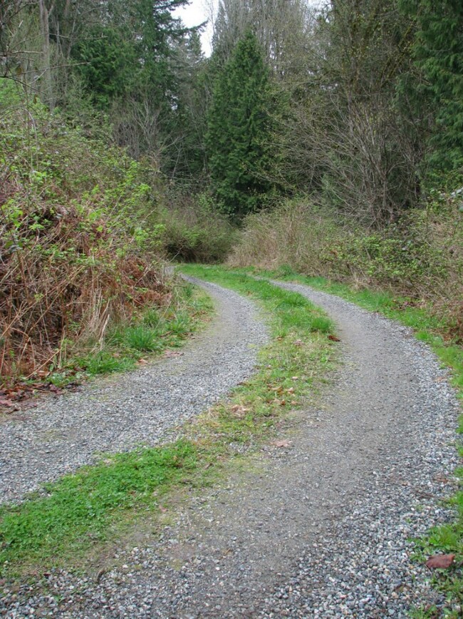 18120 Olive Ave, Stanwood, WA 98292 - photo 5