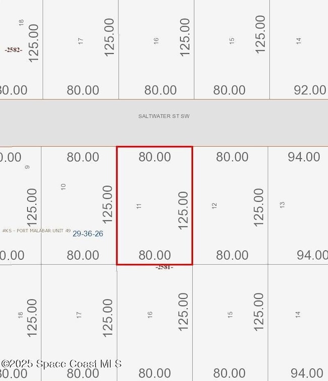 818 Saltwater St, Palm Bay, FL 32908 - photo 2