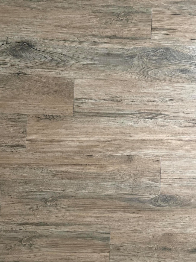 2249 Del Carmel Way, Tallahassee, FL 32303 - photo 7