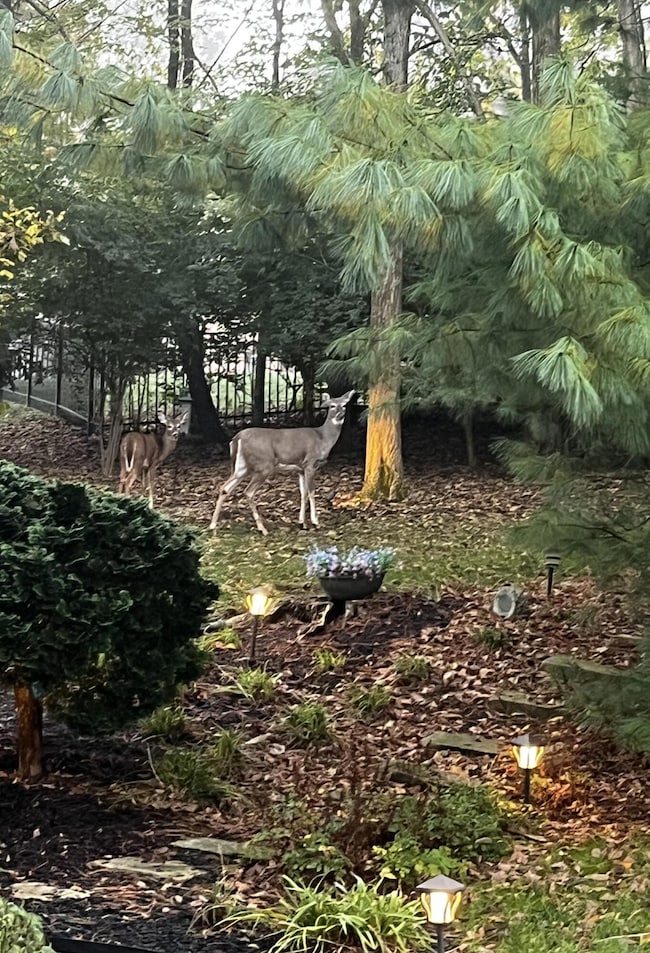 10653 Chenery Cove, Union, KY 41091 - photo 7