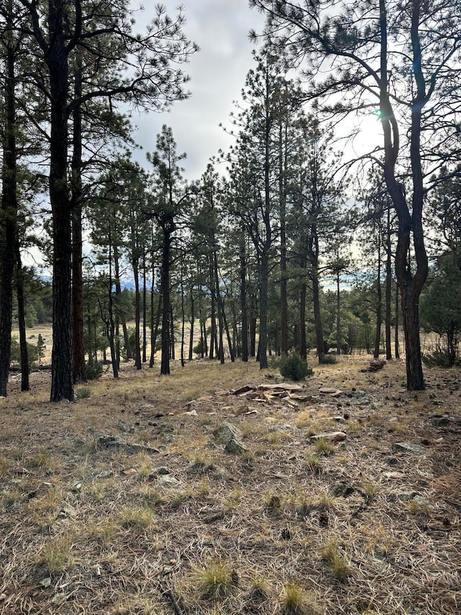 46 Marmot Ct unit 121, Ridgway, CO 81432 - photo 4