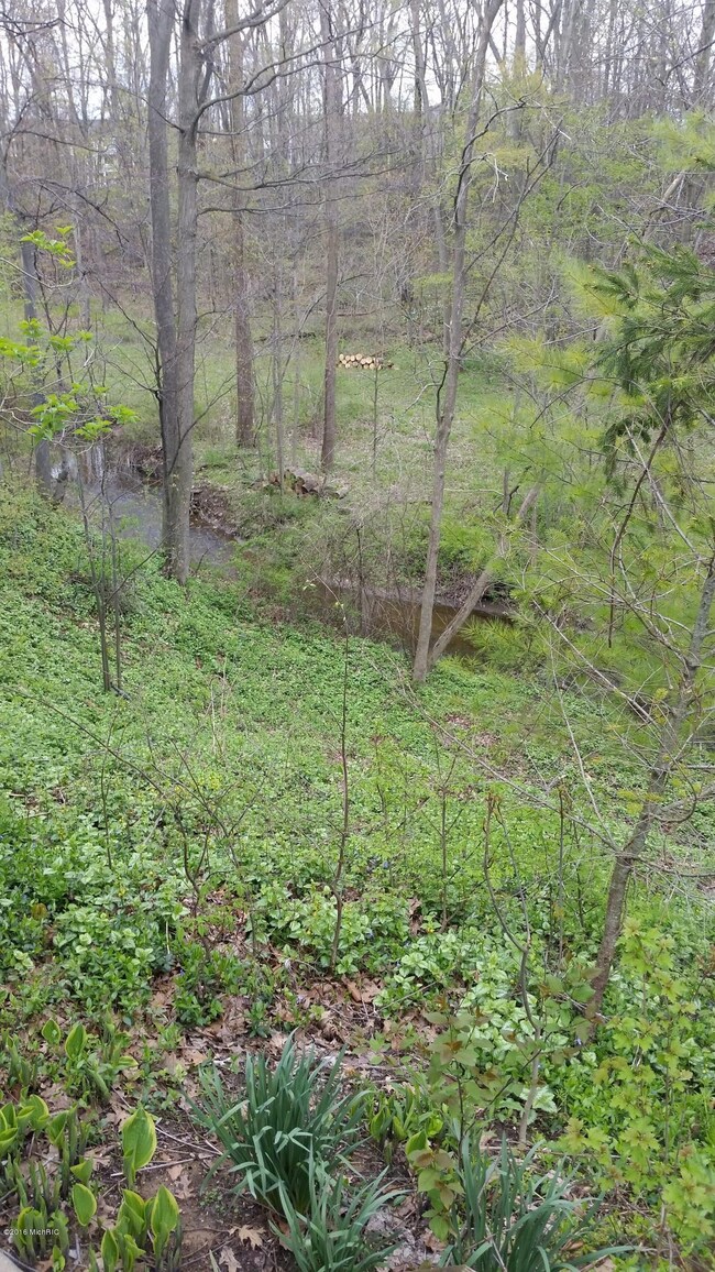 Gorgeous Ravine/Creek View