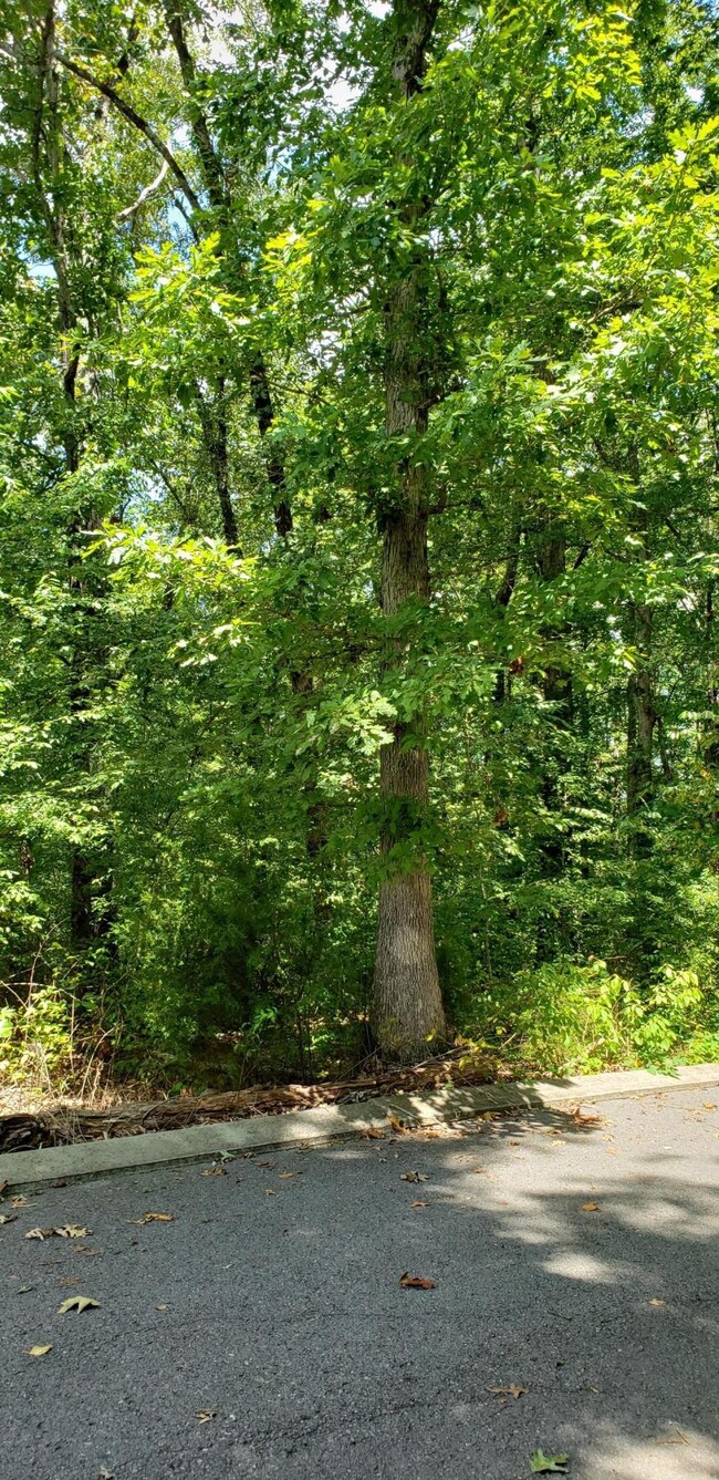 0 Shady Oaks Cove unit RTC2720334, Dunlap, TN 37327 - photo 7