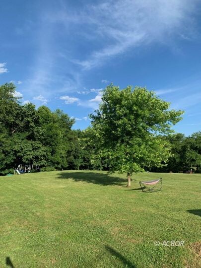 back yard