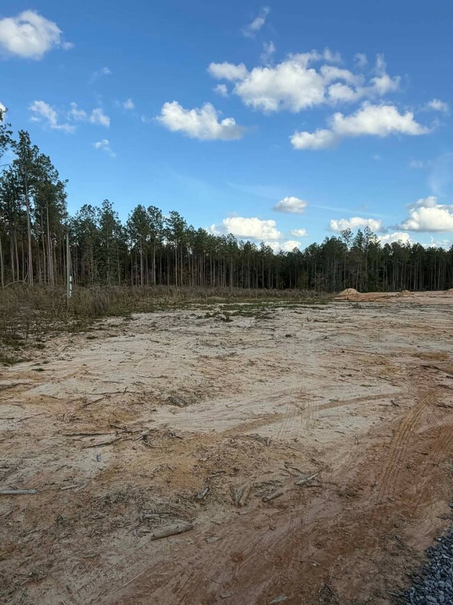 108 Meadowview St, Jena, LA 71342 - photo 5