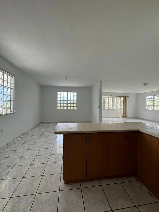 66 Calle Aguila- Haciendas de Canovanas, Canovanas, PR 00729 - photo 7