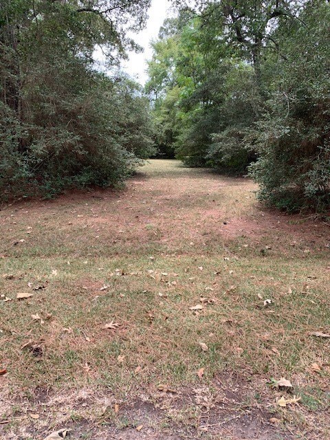 -0- Lark Ln, Holly Springs, TX 77447 - photo 3