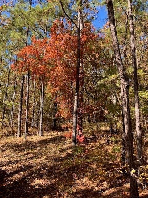 227 Collins Rd, Natchitoches, LA 71457 - photo 7