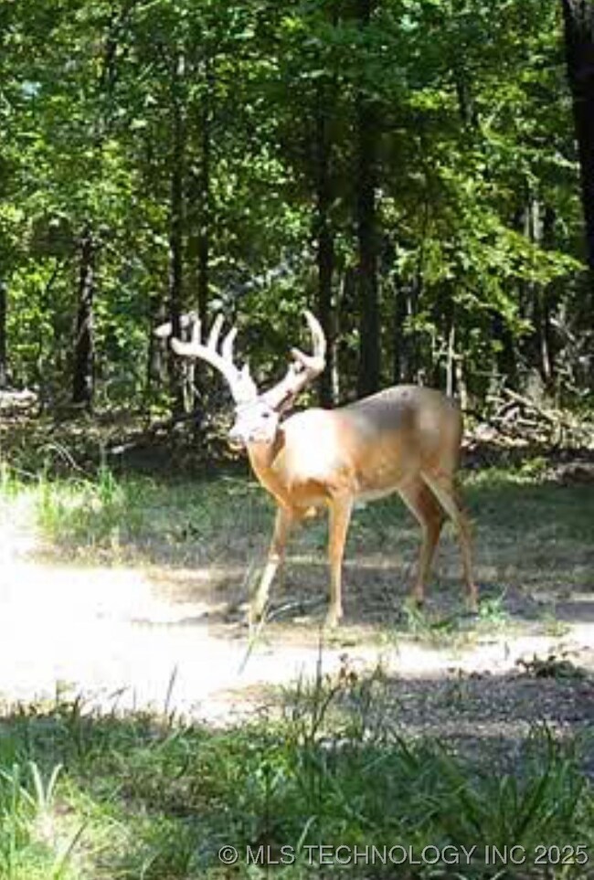 0 State Highway 82 Hwy unit 2533335, Salina, OK 74365 - photo 7