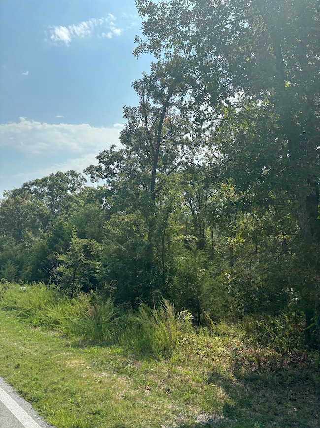 Lot #3 Fox Hollow Rd, Ruth C Township, MO 65737 - photo 3