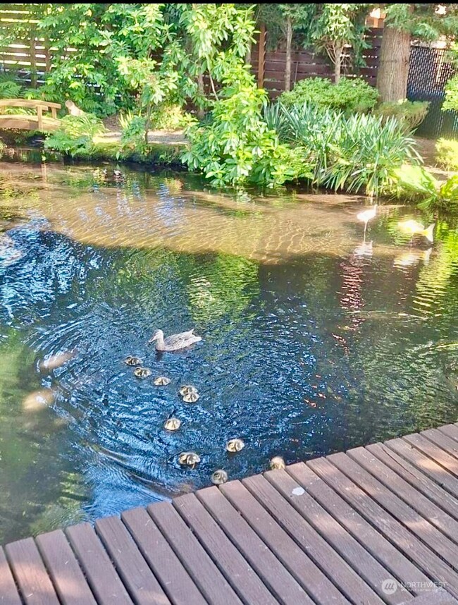 622 Olympic Ave, Edmonds, WA 98020 - photo 5