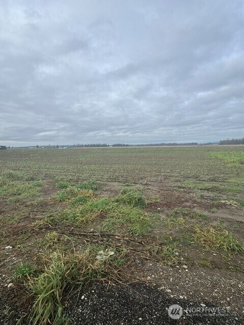 1420 Birch Bay Lynden Rd, Lynden, WA 98264 - photo 5