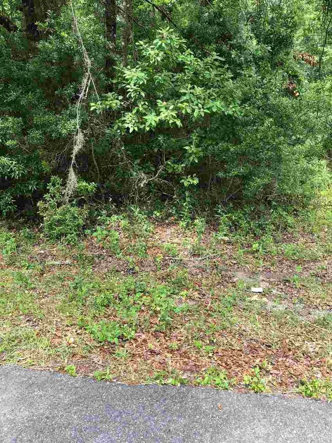 0 Stanley Dr unit 1 294797, Crawfordville, FL 32327 - photo 2