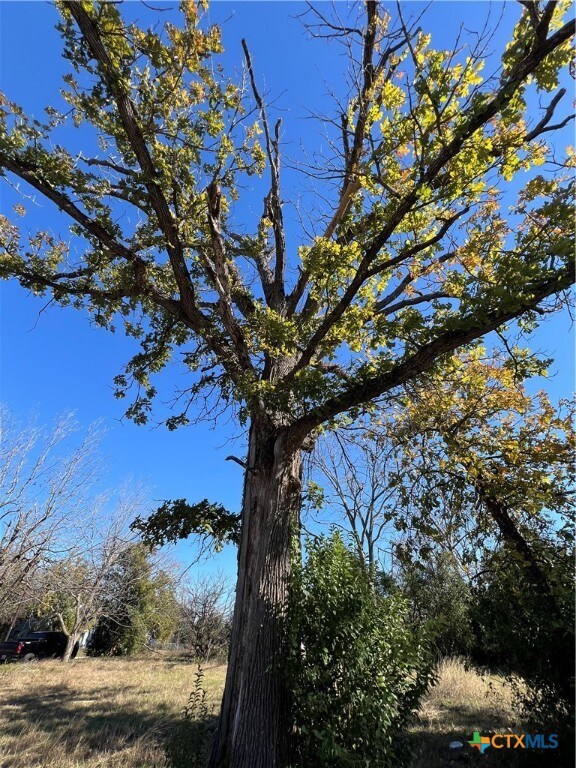 803 E Avenue A, Temple, TX 76501 - photo 5