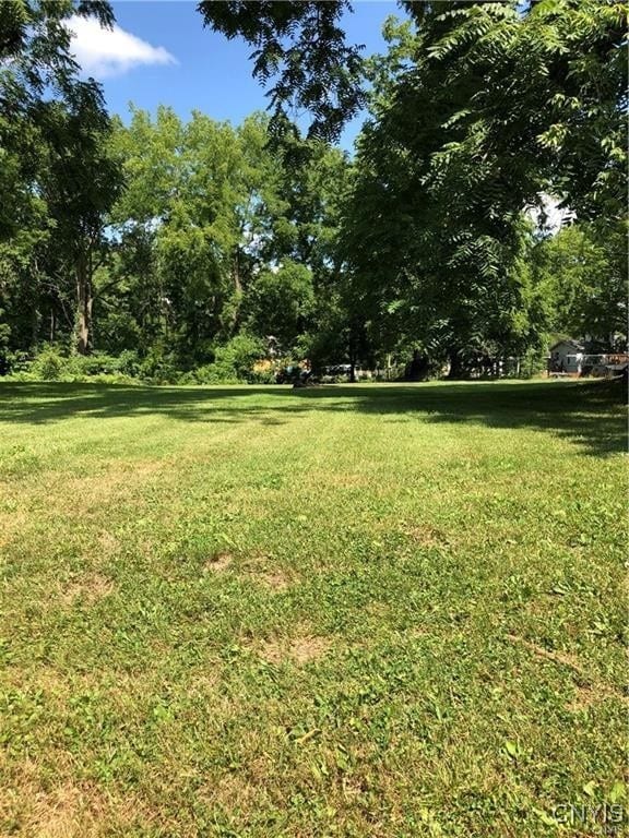 167 E Genesee St, Skaneateles, NY 13152 - photo 4