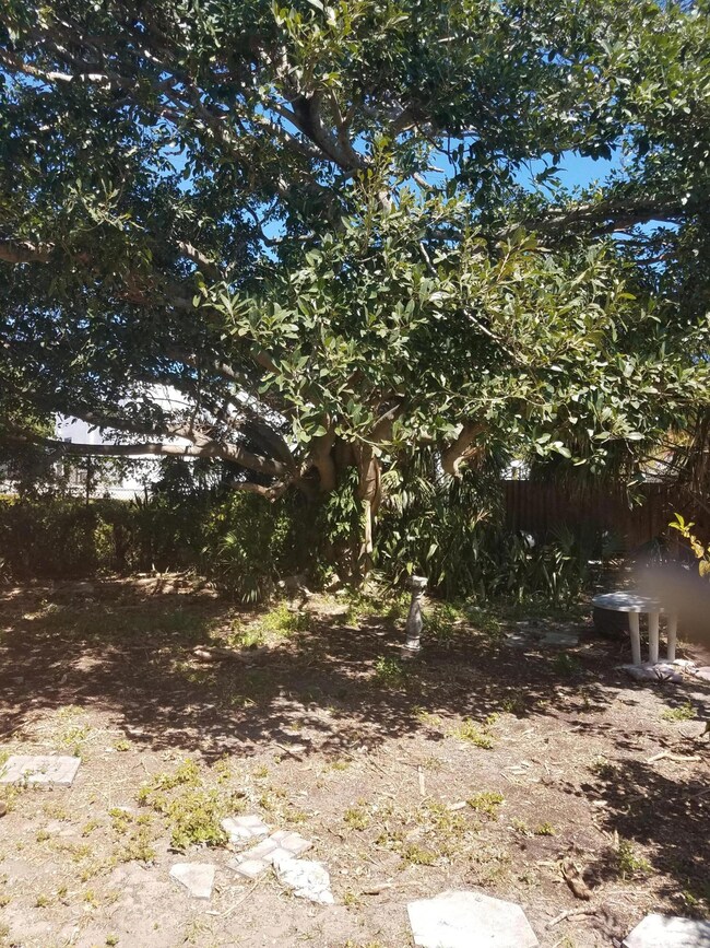 947 39th Ct, West Palm Beach, FL 33407 - photo 5