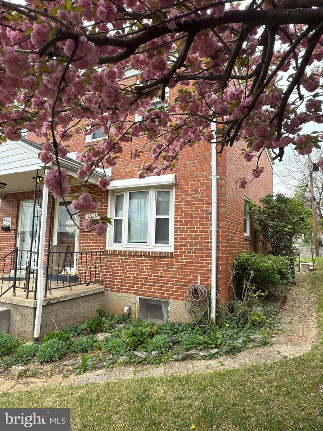 5526 Council St, Halethorpe, MD 21227 - photo 5