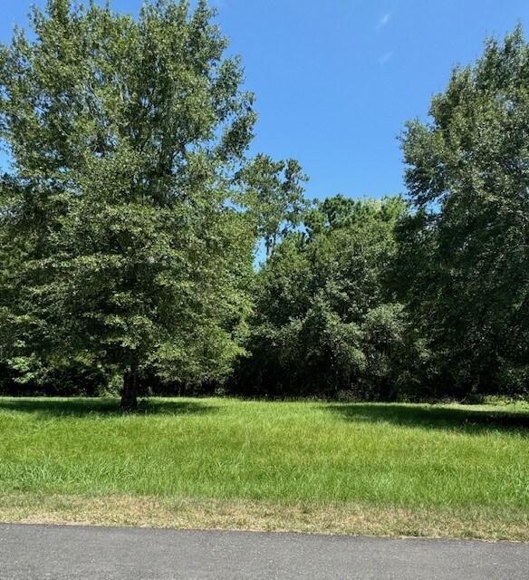 10 Firewood Rd, Huntsville, TX 77340 - photo 3