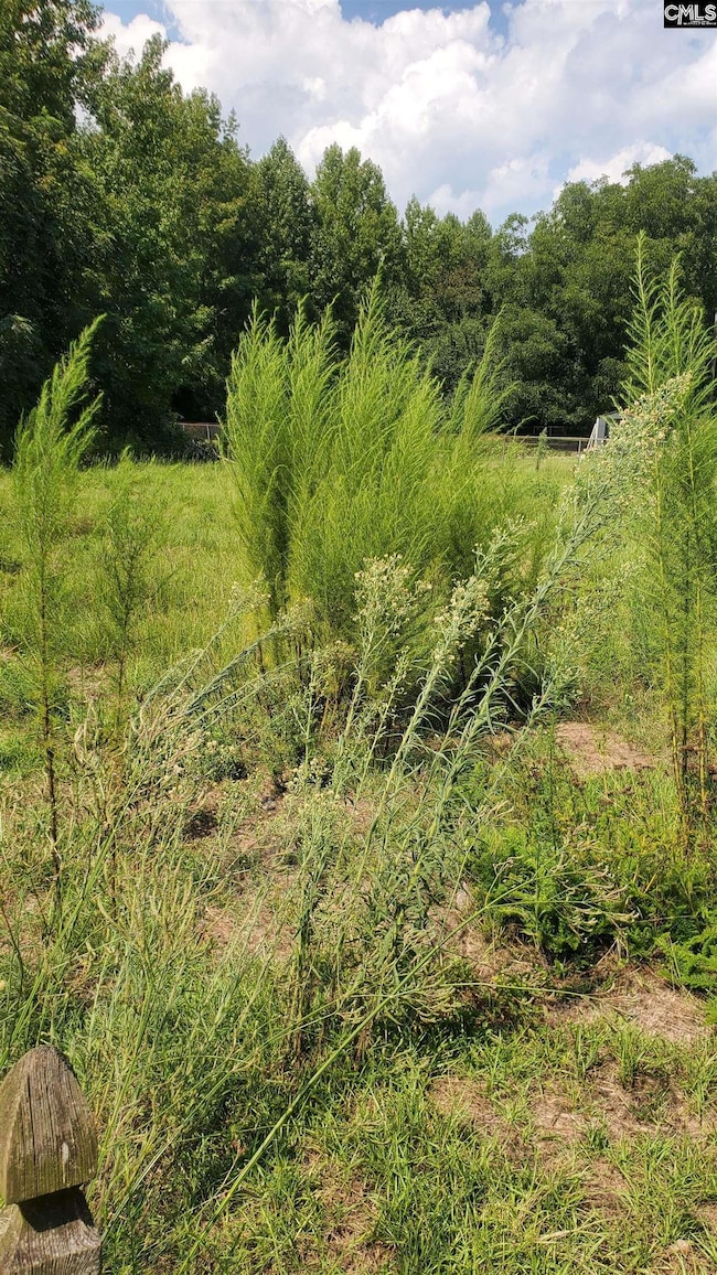 0 Ardis Rd, Pinewood, SC 29125 - photo 3