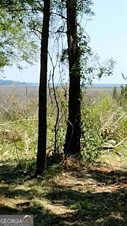 View from Marsh Lots 22, 27, 28, 29. 30
