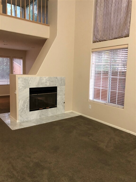 Living room fireplace.