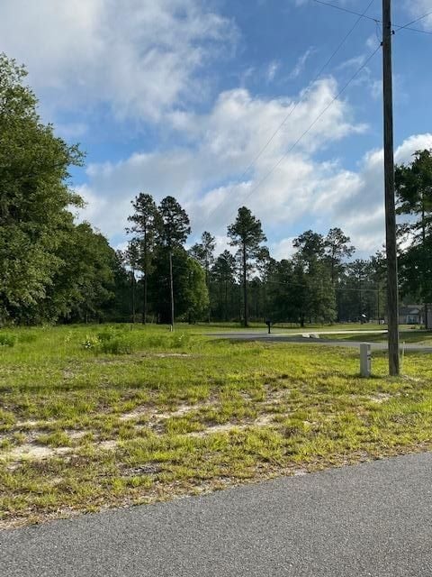 0 SE 64th St unit 24160643, Lake Butler, FL 32054 - photo 4