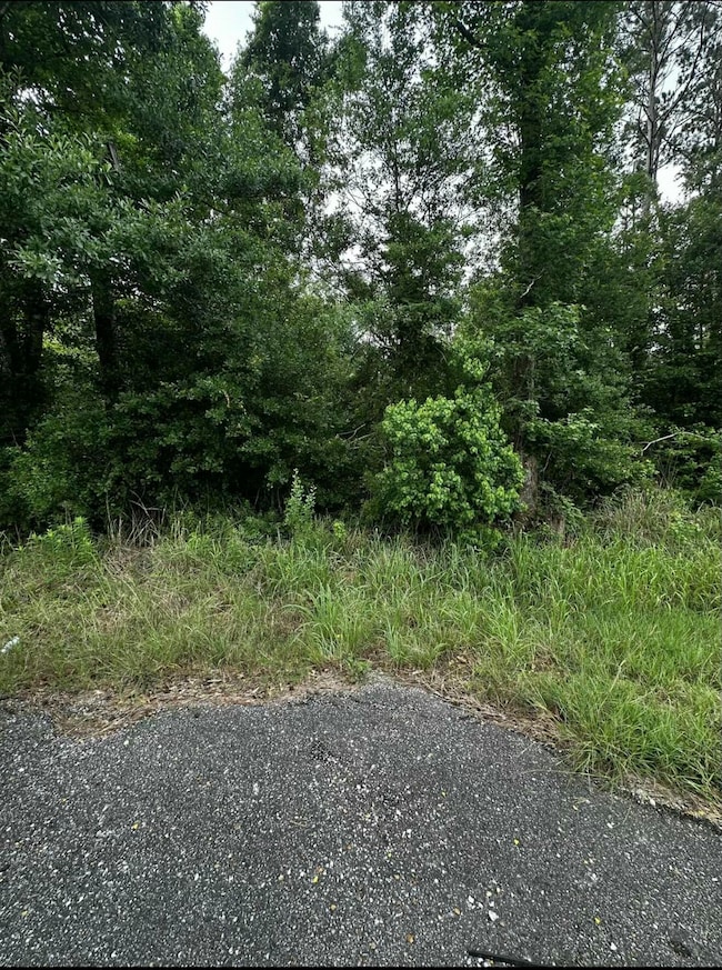 0 Louisiana 109, Starks, LA - photo 3