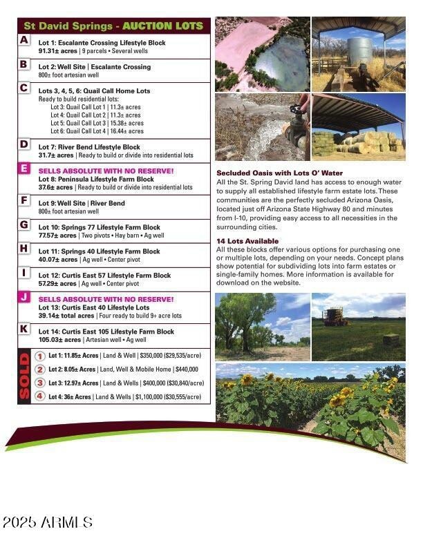 Auction Brochure (St David Springs) no c