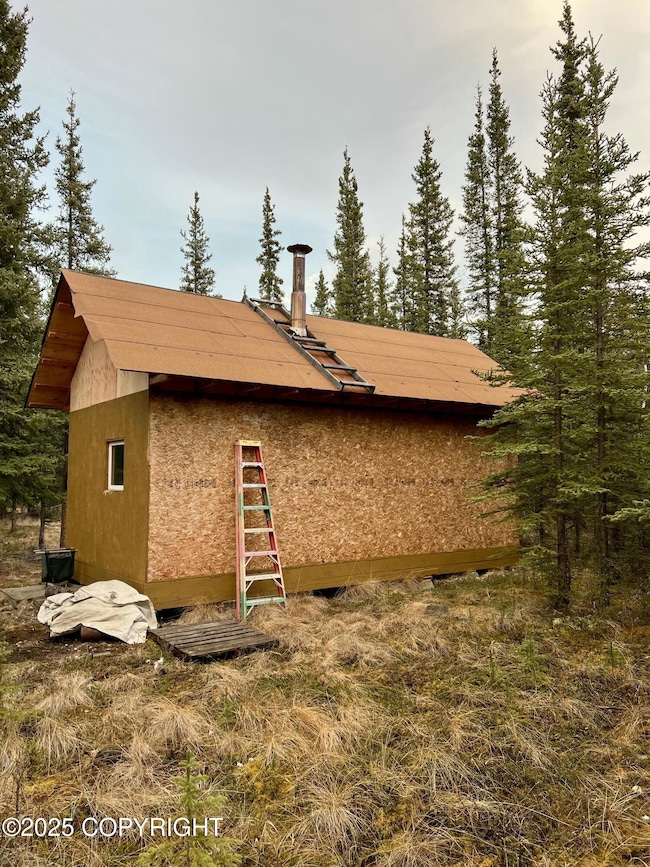 L11 B4 Jack Wade Bill Seaton Rd, Tok, AK 99780 - photo 3