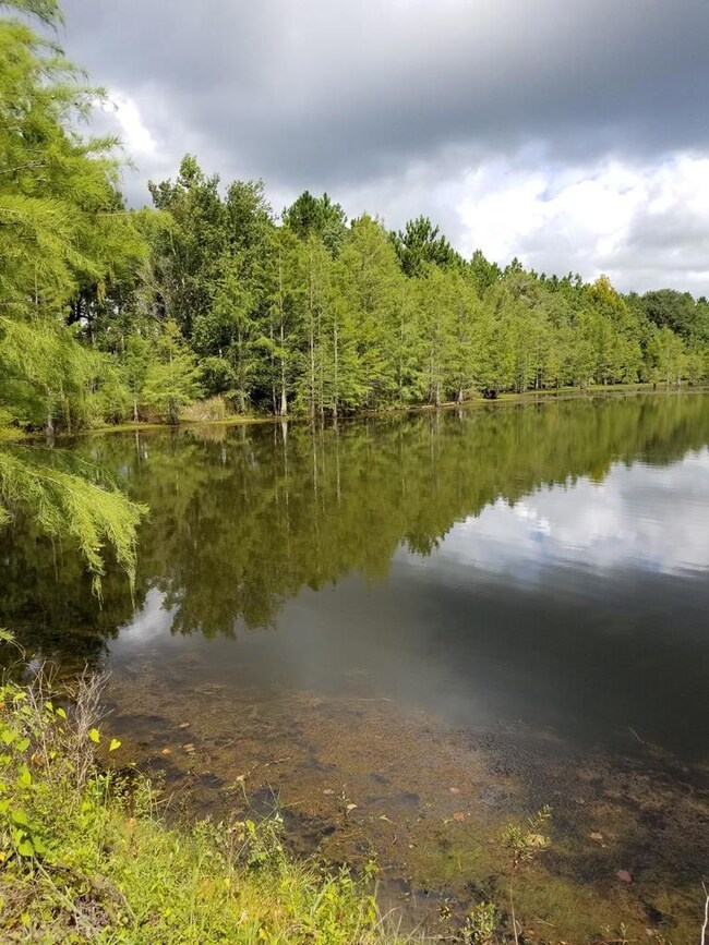 274 Wildwood Rd unit na, West Green, GA 31567 - photo 4