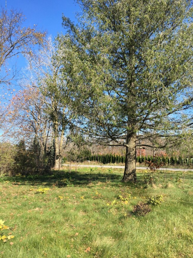 12488 Baldwin Rd, Sawyer, MI 49125 - photo 6