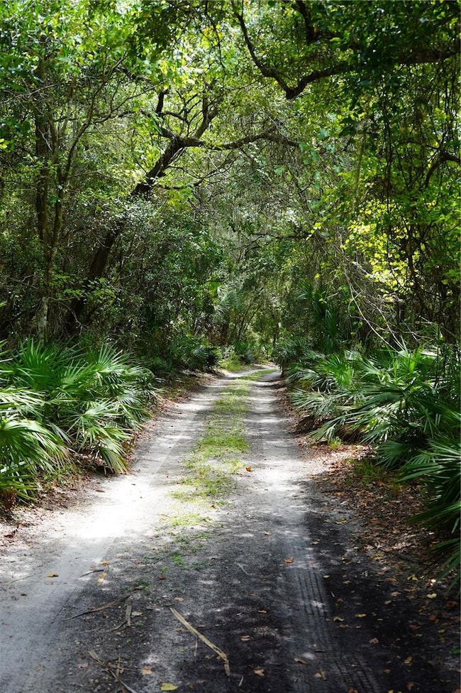 0 Bobcat Ln unit MFRO6298320, Osteen, FL 32738 - photo 4