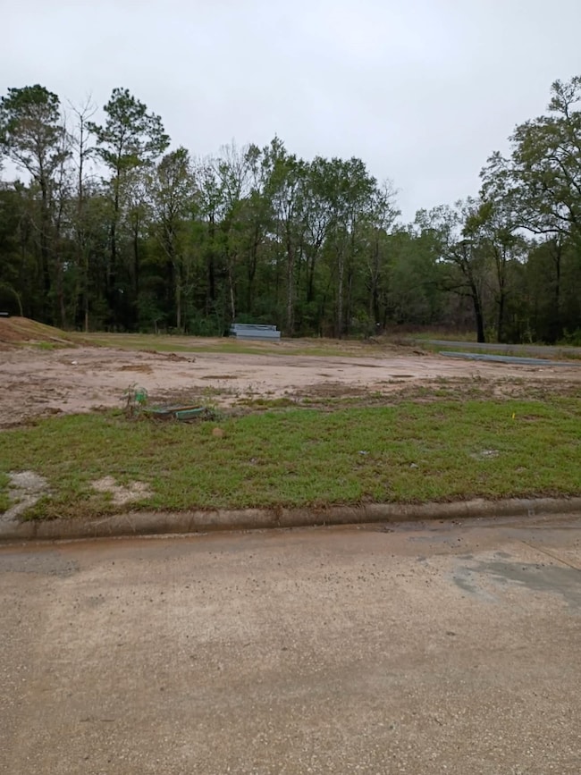 735 Warwick Dr, Vidor, TX 77662 - photo 3