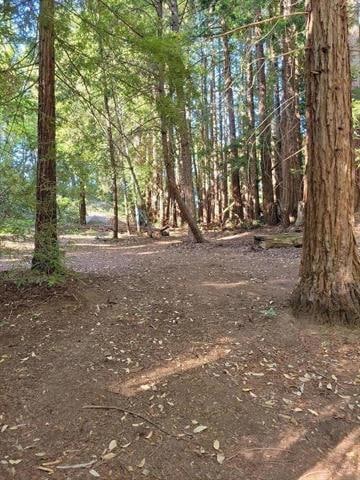 1 Skyview Rd, Boulder Creek, CA 95006 - photo 3